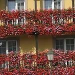 Western Au Cheval Blanc A Mulhouse Hotel 4*