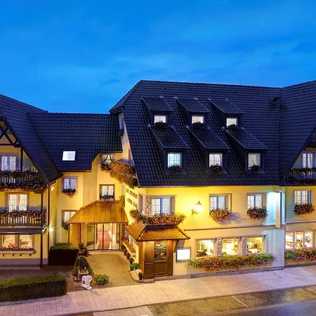 Western Au Cheval Blanc A Mulhouse 4*