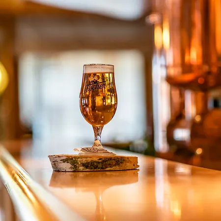 Hotel Western Au Cheval Blanc A Mulhouse