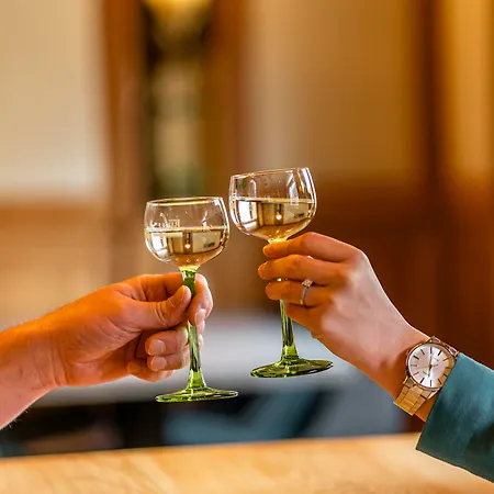 Отель Western Au Cheval Blanc A Mulhouse