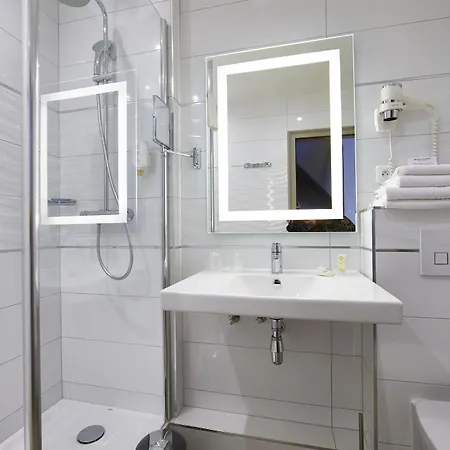 Western Au Cheval Blanc A Mulhouse Hotel 4*