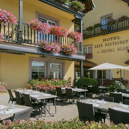 Отель Western Au Cheval Blanc A Mulhouse Бальдершем