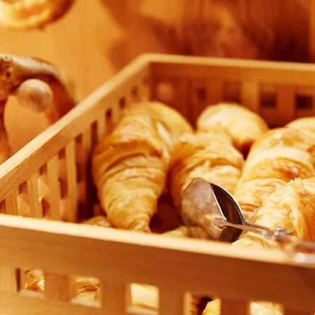 Hotel Western Au Cheval Blanc A Mulhouse