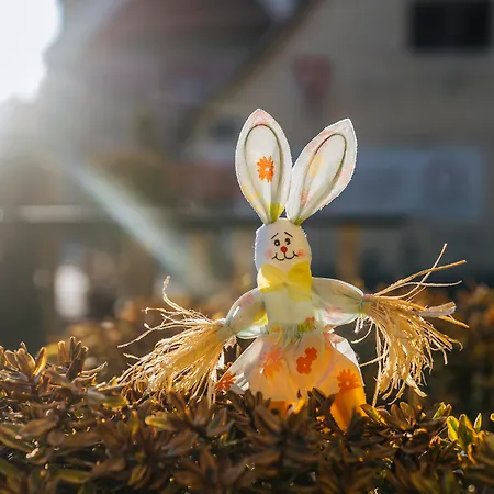 Western Au Cheval Blanc A Mulhouse Отель 4*