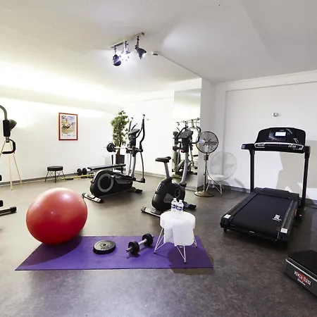 Отель Western Au Cheval Blanc A Mulhouse 4*