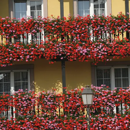 Western Au Cheval Blanc A Mulhouse Отель 4*