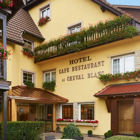 Hotel Western Au Cheval Blanc A Mulhouse 4*