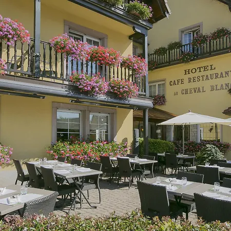 Western Au Cheval Blanc A Mulhouse Отель