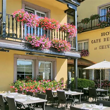 Western Au Cheval Blanc à Mulhouse Hotel 4*