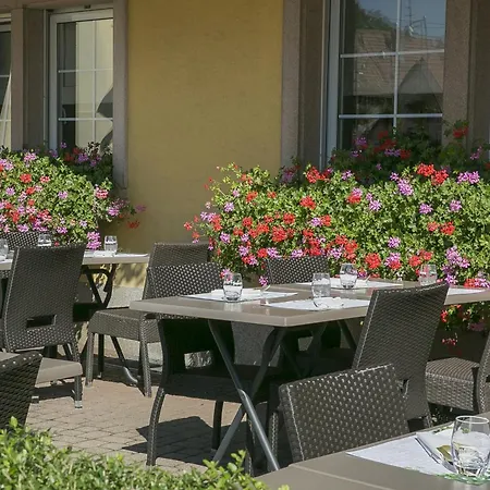 Отель Western Au Cheval Blanc A Mulhouse 4*