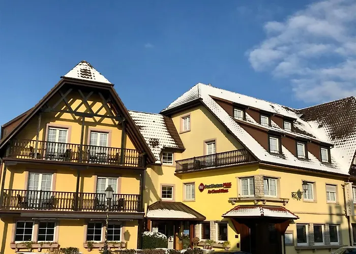 Hotel Western Au Cheval Blanc A Mulhouse 4*