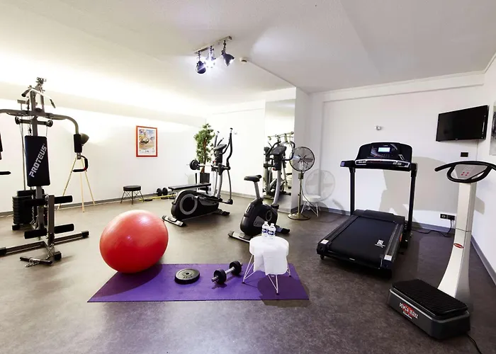 Western Au Cheval Blanc A Mulhouse 4*