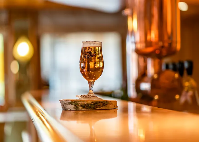 ホテル Western Au Cheval Blanc A Mulhouse