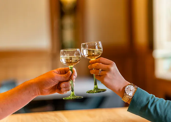 Hotel Western Au Cheval Blanc A Mulhouse