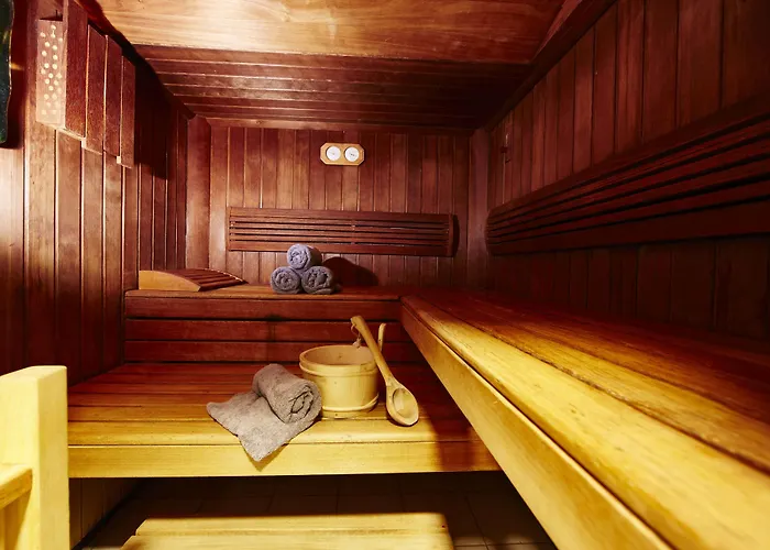 ホテル Western Au Cheval Blanc A Mulhouse 4*