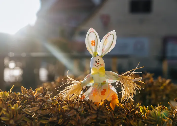 Western Au Cheval Blanc A Mulhouse ホテル 4*