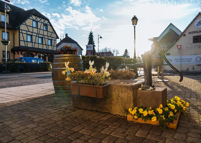 Western Au Cheval Blanc A Mulhouse ホテル