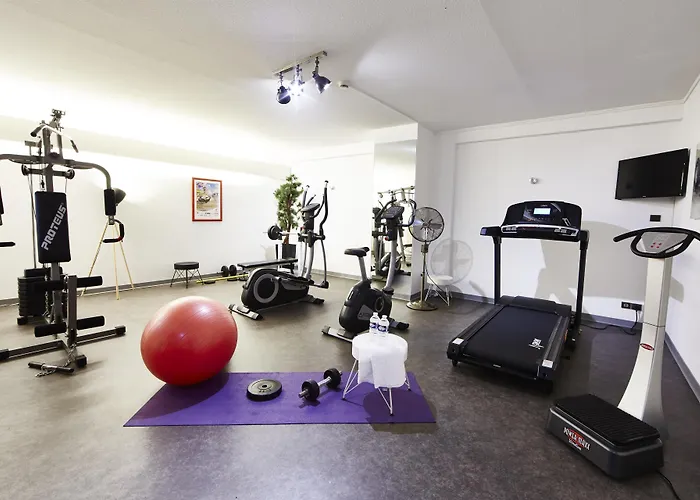 Hotel Western Au Cheval Blanc A Mulhouse 4*