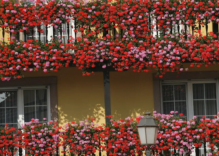 Western Au Cheval Blanc A Mulhouse Hotel 4*