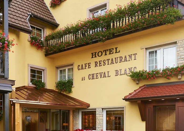 ホテル Western Au Cheval Blanc A Mulhouse 4*