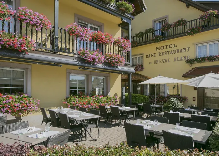 Western Au Cheval Blanc A Mulhouse Hotel