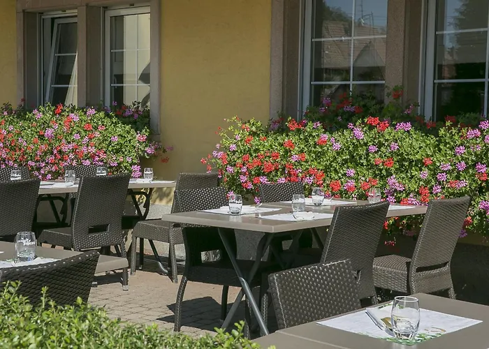 ホテル Western Au Cheval Blanc A Mulhouse 4*